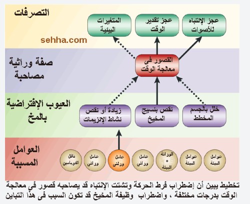 اضطراب فرط الحركة وتشتت الانتباه  (Attention-deficit/hyperactivity disorder (ADHD ADHD2