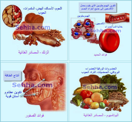 الفيتامينات والمعادن MTBSQ01