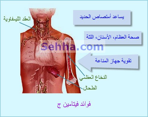 الفيتامينات والمعادن VTBSQ04