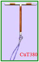 استخدام أقراص منع الحمل The use of oral contraceptives  IUD5