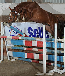 La communauté des pies Tupuris (de sport)  Ugobak-des-Baleines-saut