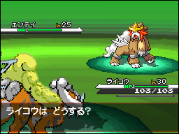 Zoroark Event - Pokémon B/W Raikouentei2