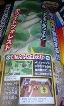 New  Pokémon and People Revealed Whiteforest