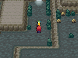 Guia en Español de Pokemon HeartGold/SoulSilver .::Parte de Johto::. Rivalvictoryroad