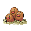 Diglett's cave 051