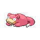 Slowpoke Well 079