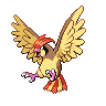 #016 - Pidgey 017