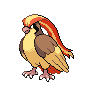 #016 - Pidgey 018