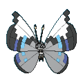 [Guide] Prismillon : Couleurs des ailes en fonction des régions 666-mon