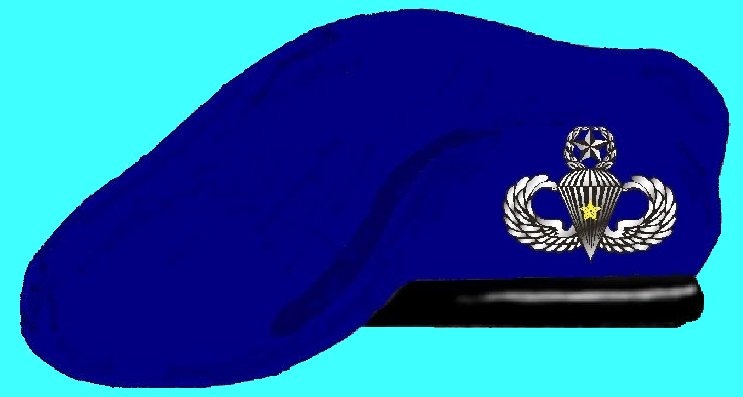 Post a Pic of something BLUE - Page 7 Blue%20Beret