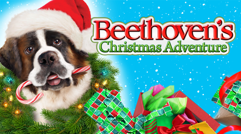 Beethove's Christmas Adventure ( 2011 ) Beethoven_Gifts