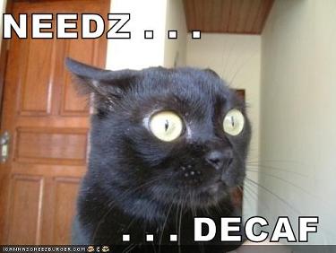 LOLCATS - Page 2 Needz%20decaf