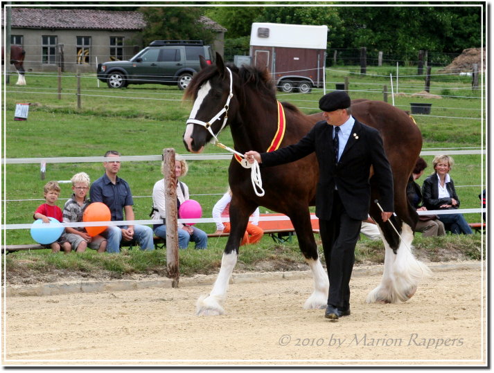 Auf der Zuchtschau! Konst_NRW2010_001