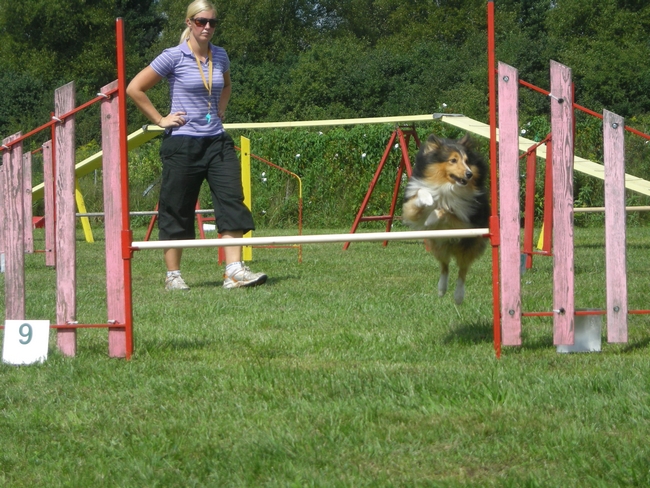 23.8 - 4fun agility tekma - KD Barje - Page 4 Male55