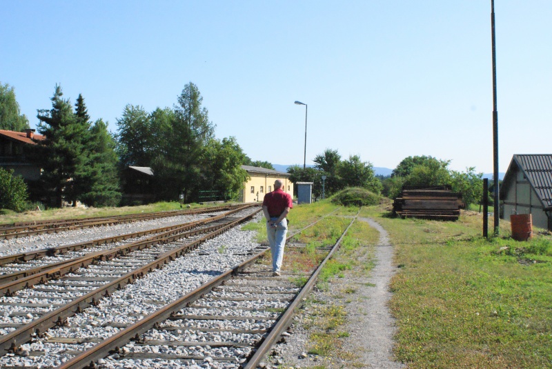 CSI tacion na Dolenjskem i u Gorskom Kotaru 03-pohod-proti-izhodu-iz