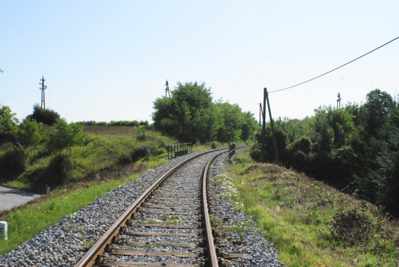 CSI tacion na Dolenjskem i u Gorskom Kotaru 03b-pohod-most-cez-cesto