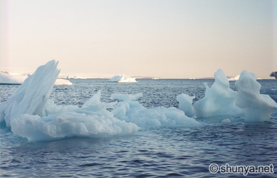      Ice-sculptures