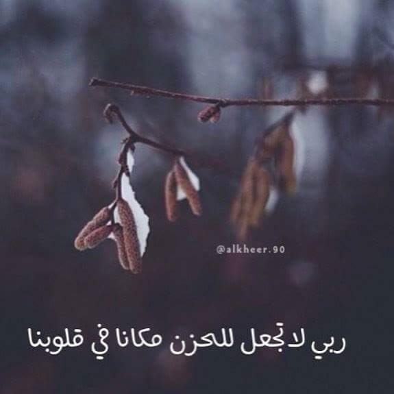 الدعاء هو العبادة .. - صفحة 46 Shof_361c0cc52e9b3be