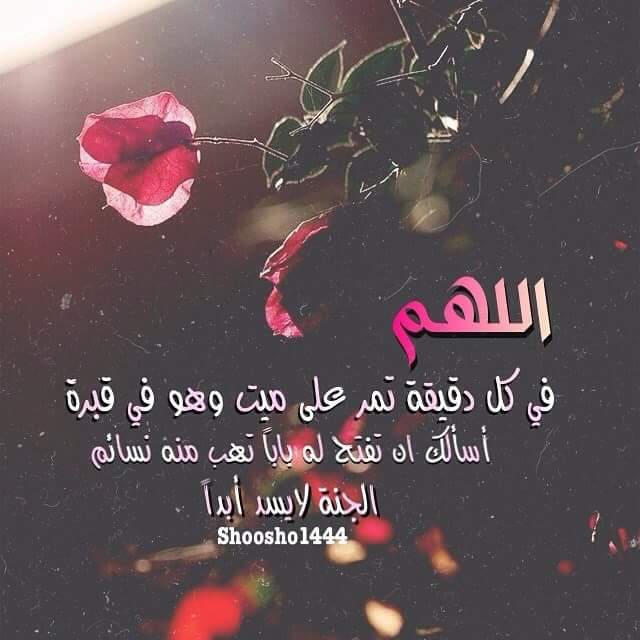 الدعاء هو العبادة .. - صفحة 49 Shof_3ad8a03c60d9266