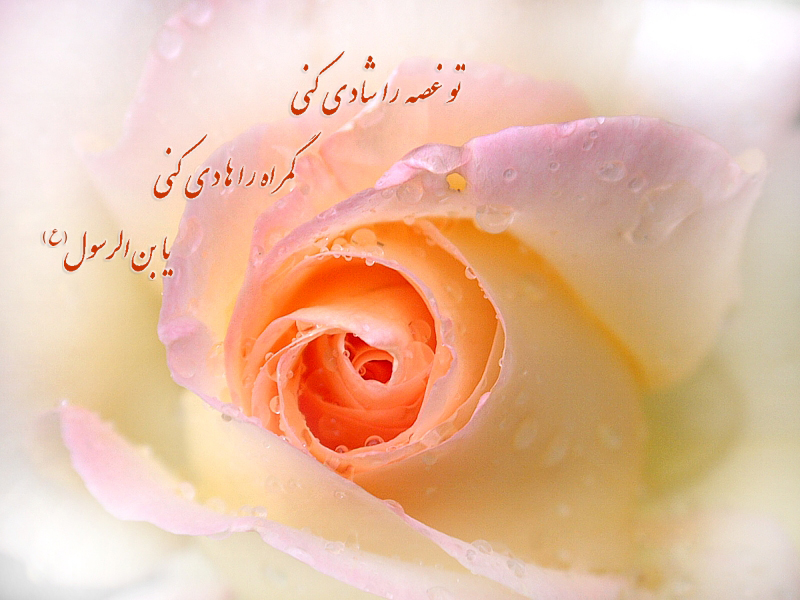 ღ.¸¸.مــُبارك مولد الإمام  علي الهادي ،،.¸¸.ღ    Pic4