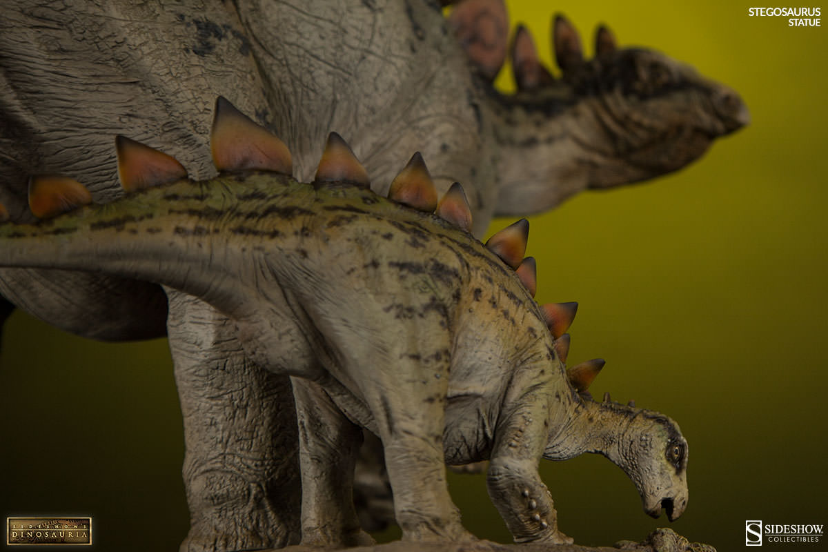 [Sideshow] Dinosauria: Stegosaurus Statue 2000473-stegosaurus-006