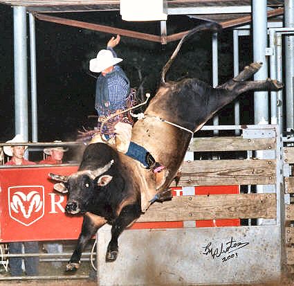 ~*~EVENTS~*~ Rodeo-bull-riding