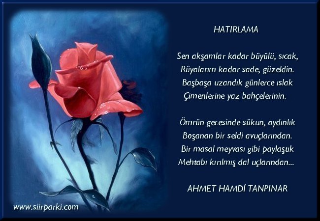 HATIRLAMA Kartsiir25