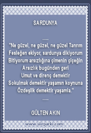 seçtiklerim Minisiir