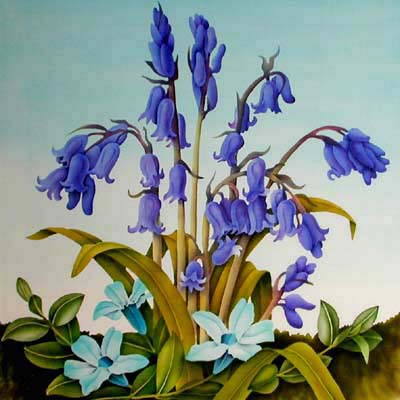 ˚ஐ˚◦{♥ حديقـــهـ الورود ♥}◦˚ஐ˚ - صفحة 14 Bluebells