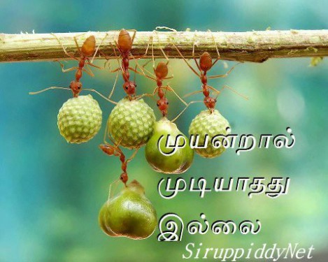 உங்கள் பலம், பலவீனம் …. சரியாகப் பட்டியலிடுங்கள்……!!! Vetri-469x375