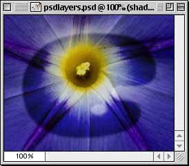 Photoshop Layers Psdlayer24