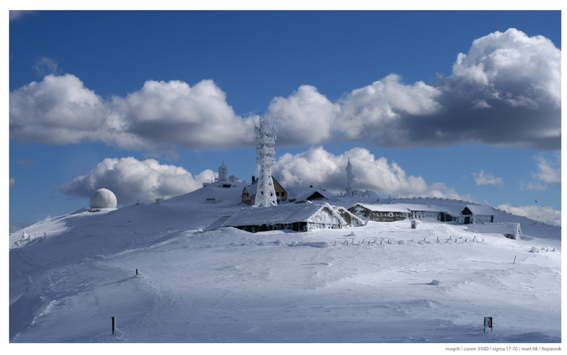 Nacionalni parkovi Srbije - Page 2 Kopaonik-Pancicev-vrh