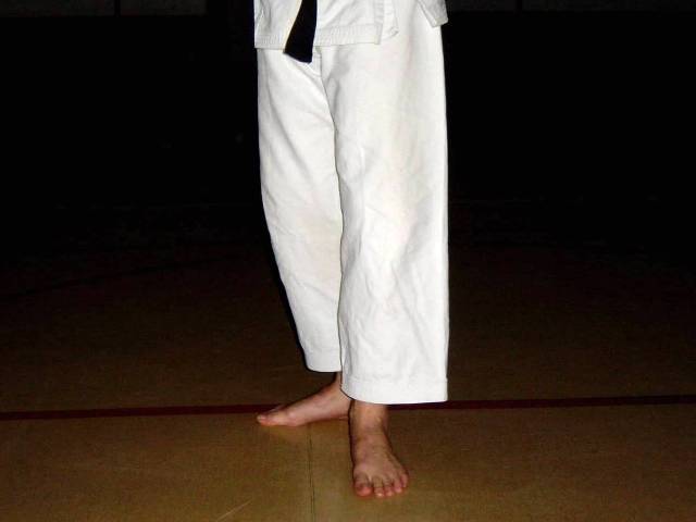  Các thế tấn của Karate  Renoji-dachi