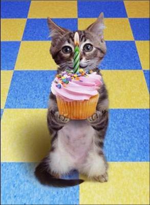 Happy birthday, Reverend! C_c_c_happy_birthday_katze