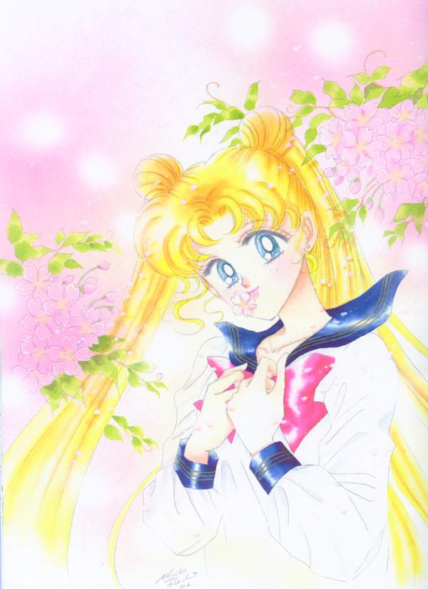 Sailor Moon Resimleri Usa-MCU013