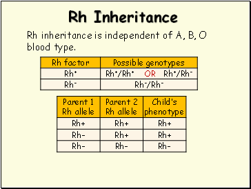 RH- Blood Type - The history of gender-specific extinctions Image007