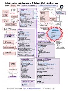 ¿Inteligencia o erudición? ¿Cómo distinguir? - Página 2 Histamine-Intolerance-and-Mast-Cell-Activation-cascade-of-symptoms-225x300