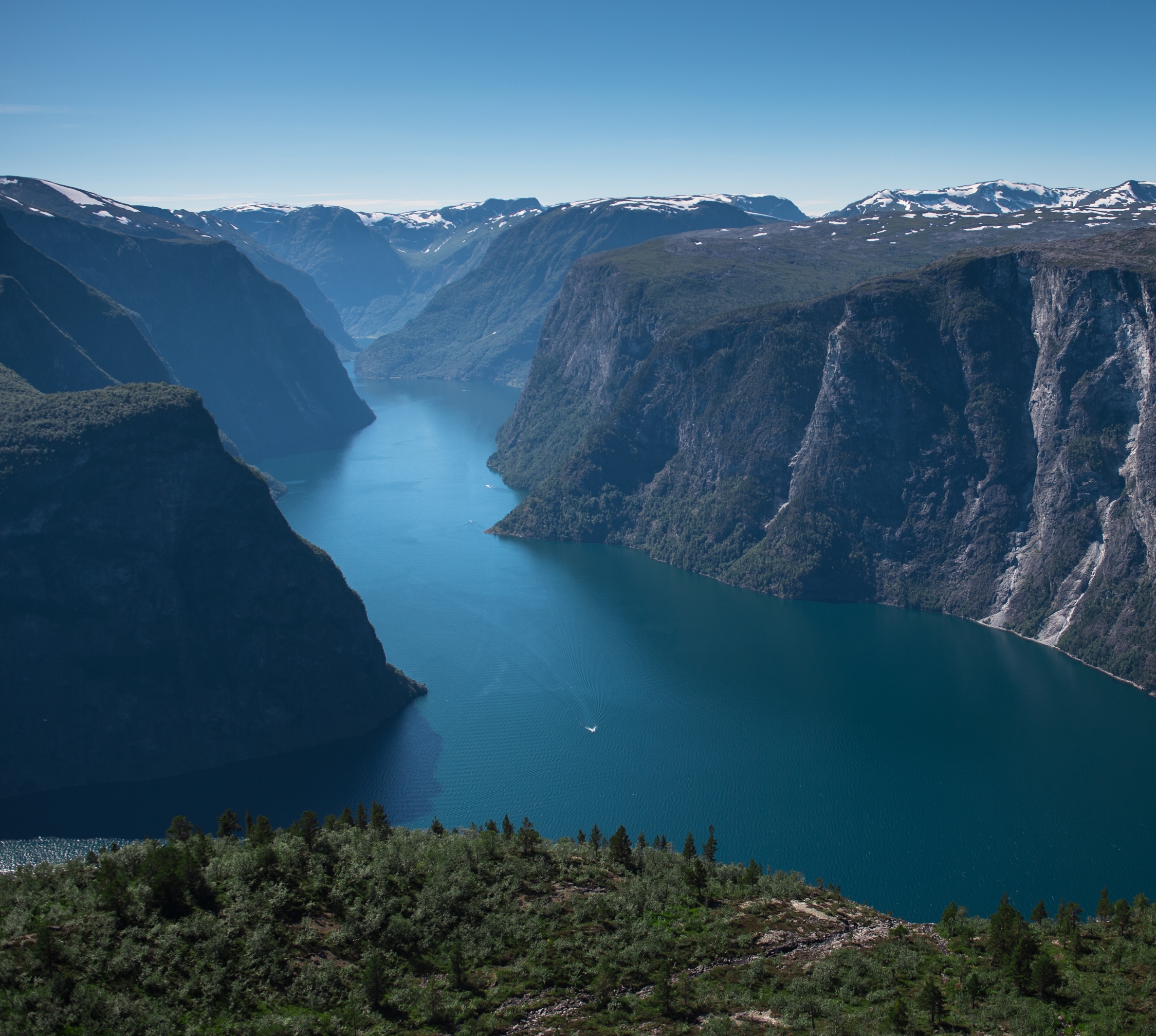 The Forest/Fjord Norwegian-fjords