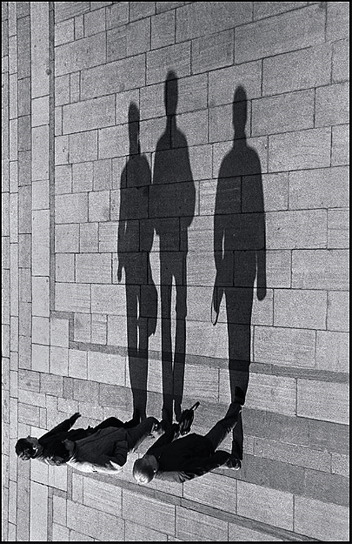     Shadows