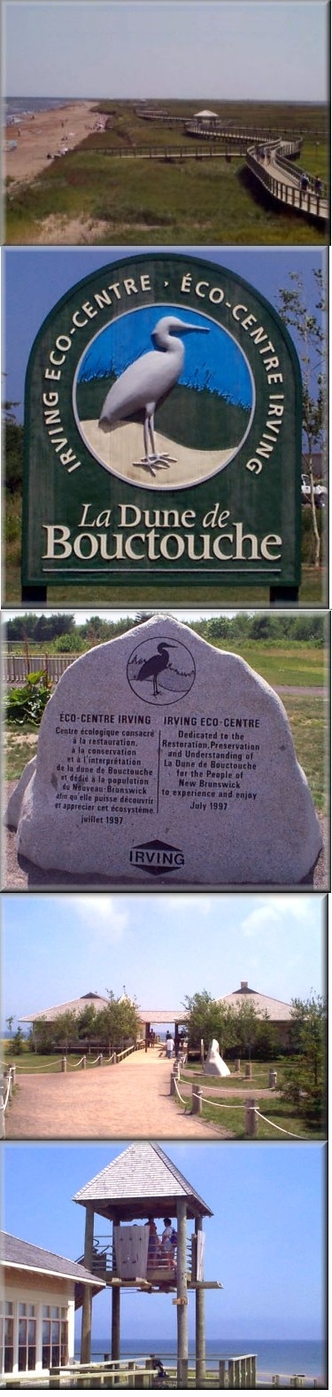 Tout sur le Nouveaux-Brunswick!!!!!!!!!!! Dune-de-bouctouche