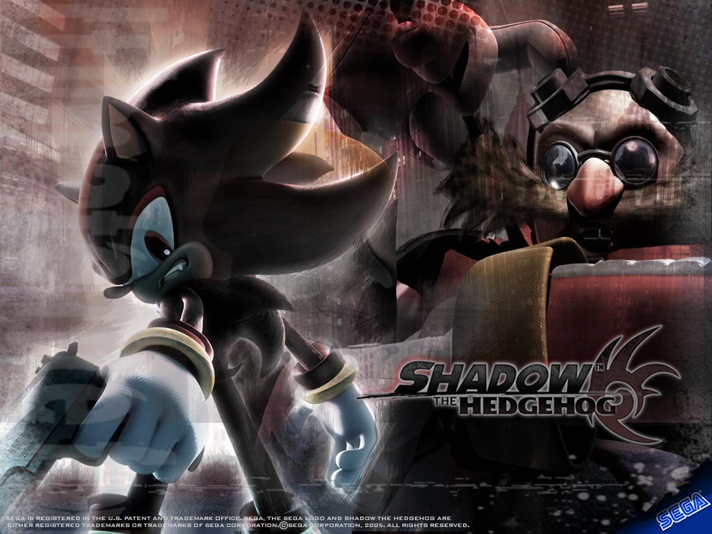 صور شادو القنفذ Shadowth004_1024x768