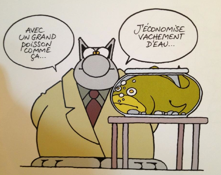 Rubrique humour ? Lechat