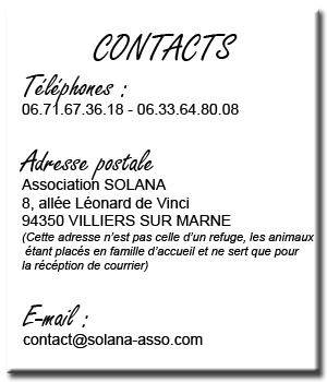 Halley, femelle 10 ans, association SOLANA (94) Contact