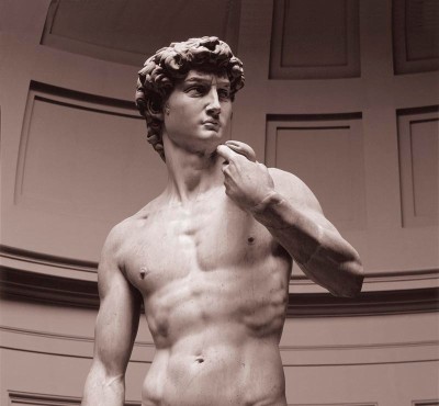 Hatred for the Caucasian David-michelangelo