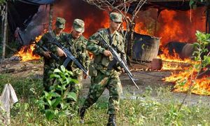    Western banks reaping billions from Colombian cocaine trade'   Soldiers_torch_a_cocaine_005