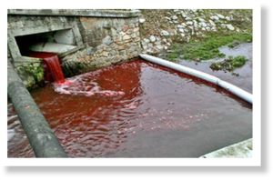 The river of blood: Slovakian waterway turns red overnight  Article_2517516_19CE247D000005