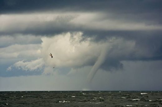 Trombe dramatique aperçu large de la côte sud-ouest de la Nouvelle-Écosse  Nova_Scotia_waterspout1