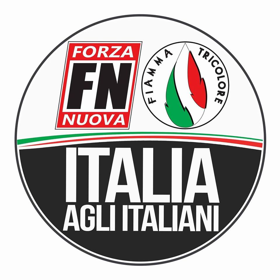 Elezioni politiche del 2018 - Pagina 2 Logo-FN-Fiamma