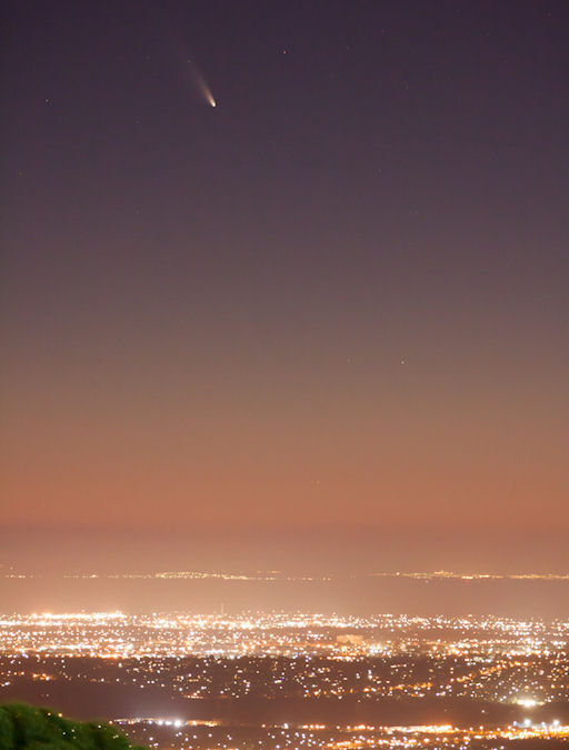 COMETA  PAN-STARRS  VISIBLE A SIMPLE VISTA EN HEMISFERIO NORTE EL 8 DE MARZO Gruber_strip