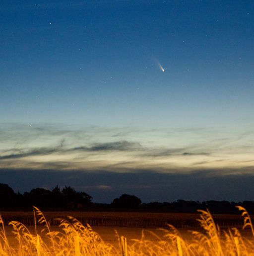 PanStarrs, el cometa que llegará en marzo White_strip